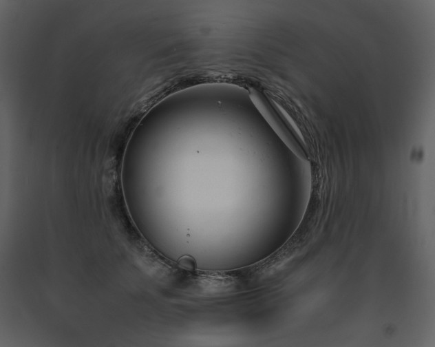 X0000091660707200708231306