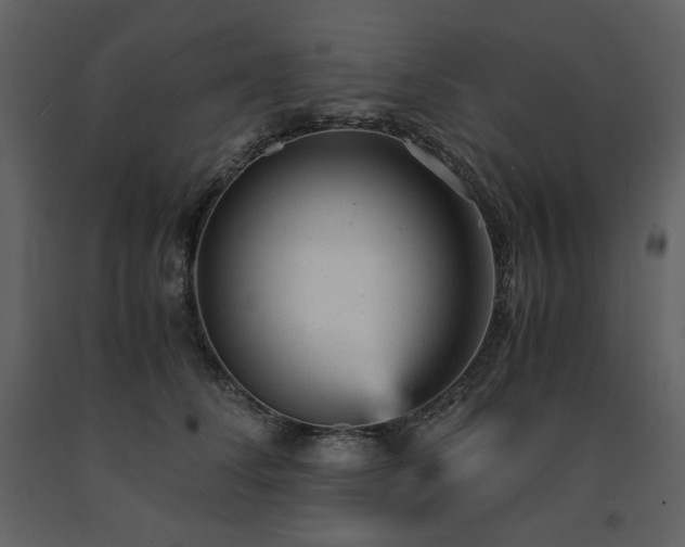 X0000091660708200708231306