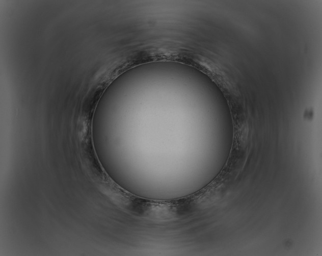 X0000091660709200708231306