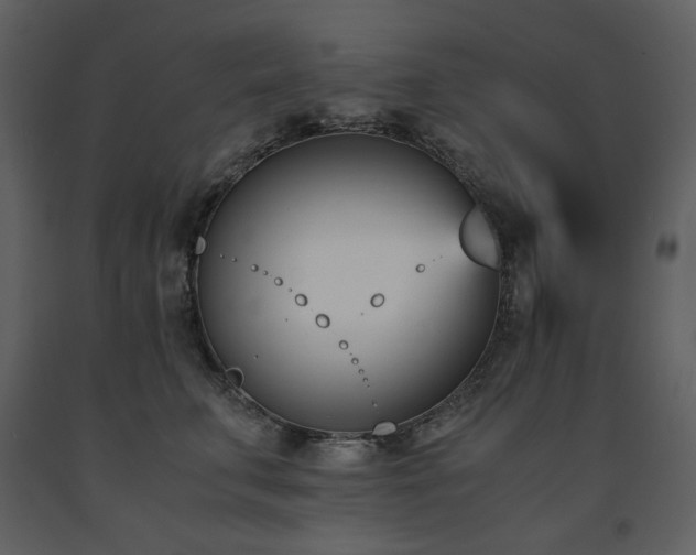 X0000091660711200708231306