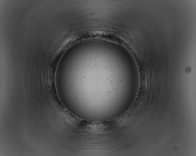 X0000091660712200708231306