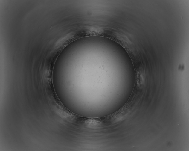 X0000091660714200708231306