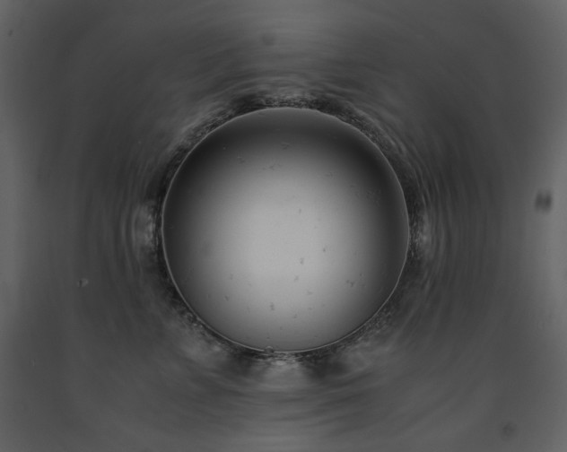 X0000091660715200708231306
