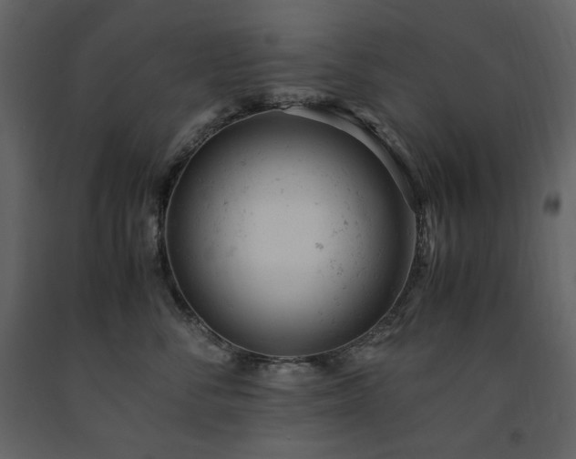 X0000091660716200708231306