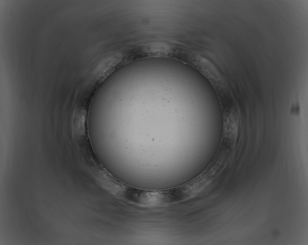 X0000091660717200708231306