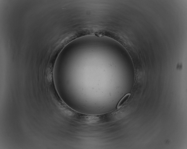 X0000091660719200708231306