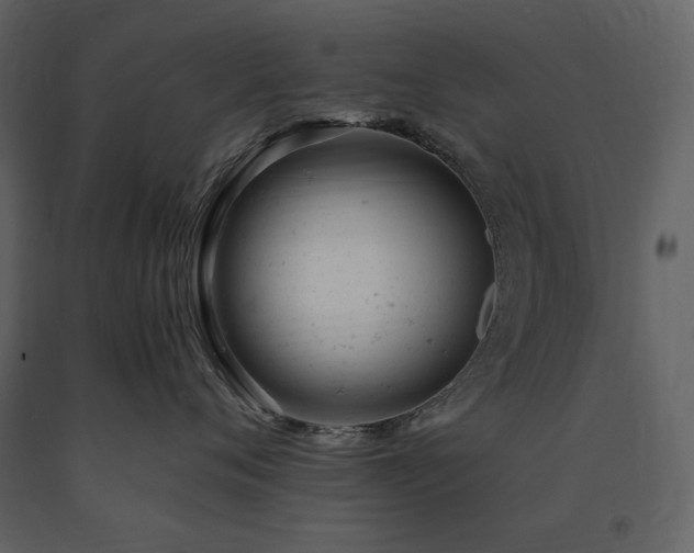X0000091660720200708231306