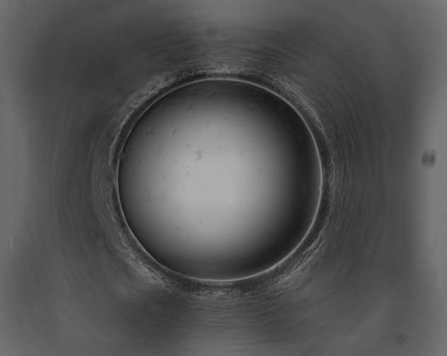X0000091660721200708231305