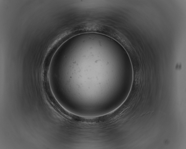 X0000091660722200708231305