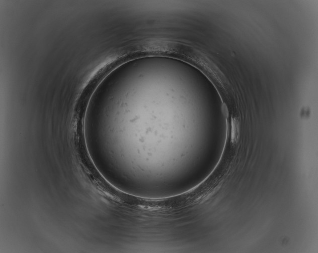 X0000091660723200708231305