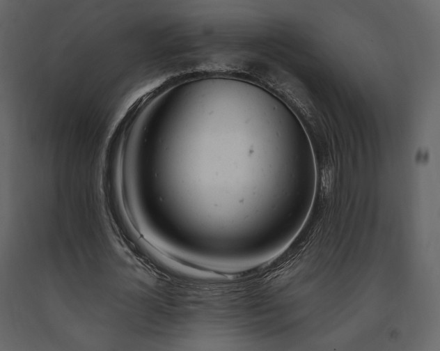 X0000091660724200708231305