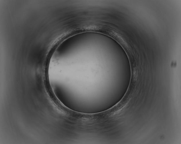 X0000091660725200708231305