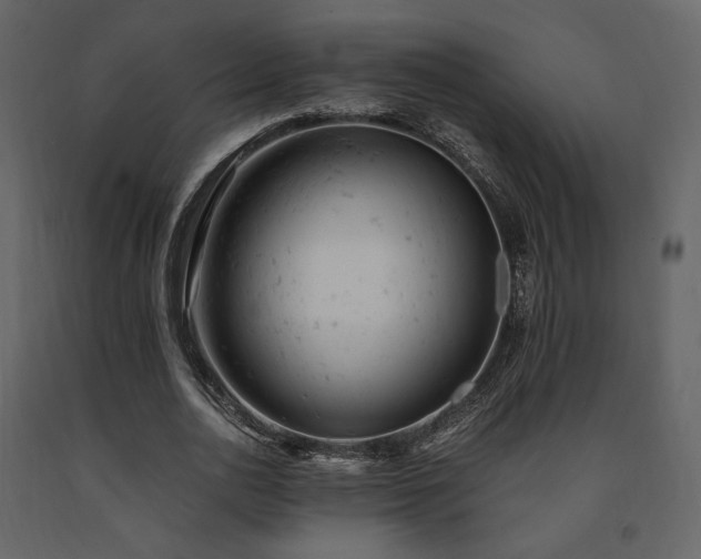 X0000091660726200708231305