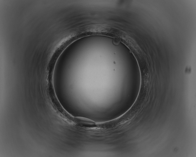 X0000091660727200708231305