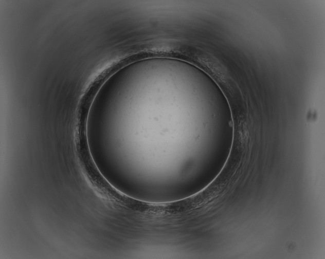 X0000091660728200708231305