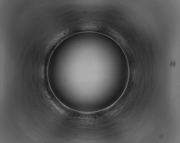 X0000091660729200708231305