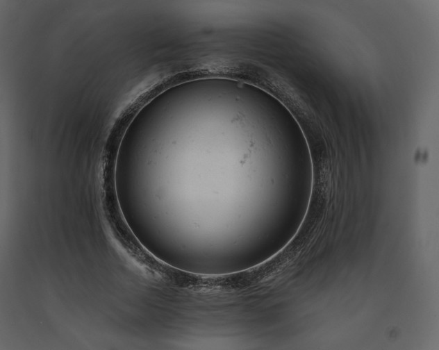 X0000091660730200708231305