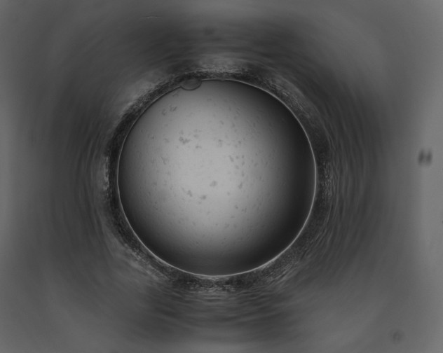 X0000091660731200708231305