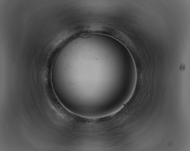 X0000091660732200708231305