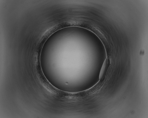 X0000091660733200708231305
