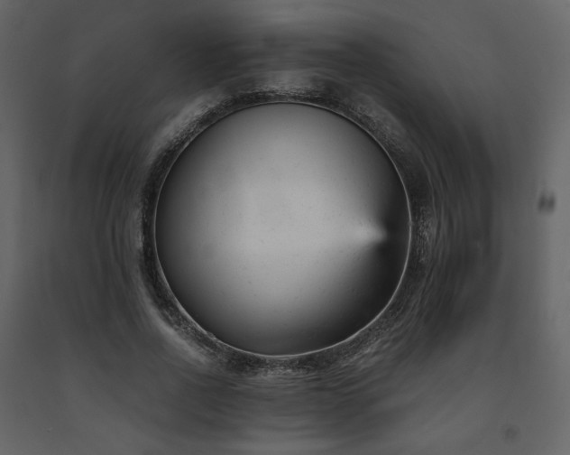 X0000091660734200708231305