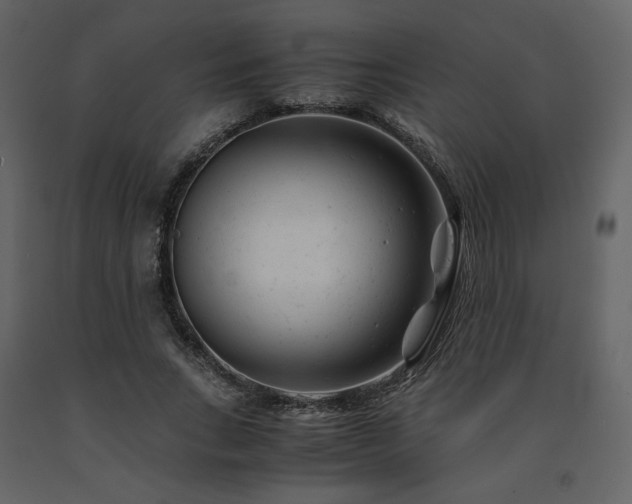 X0000091660735200708231305