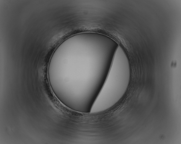 X0000091660736200708231305