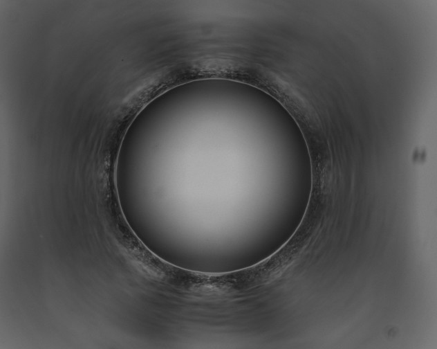 X0000091660737200708231305