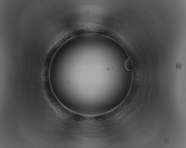 X0000091660738200708231305