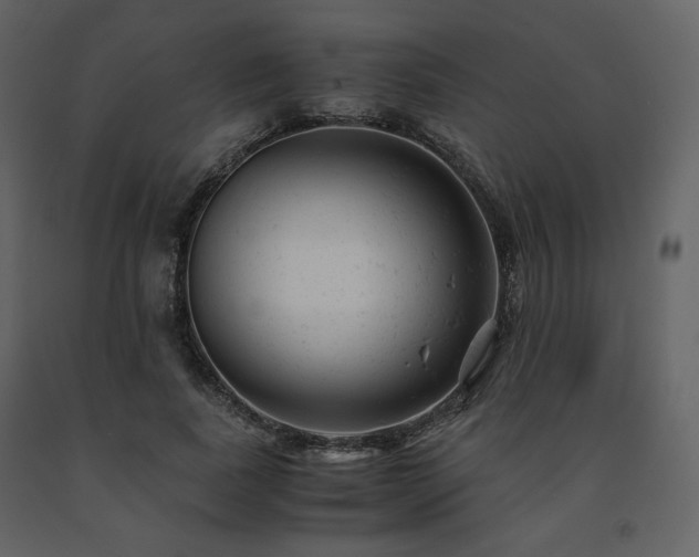 X0000091660739200708231305