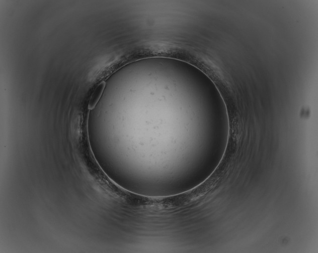 X0000091660740200708231305