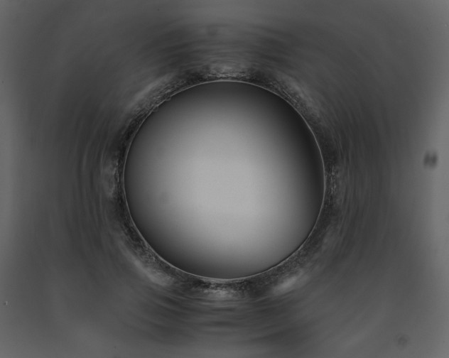 X0000091660741200708231305