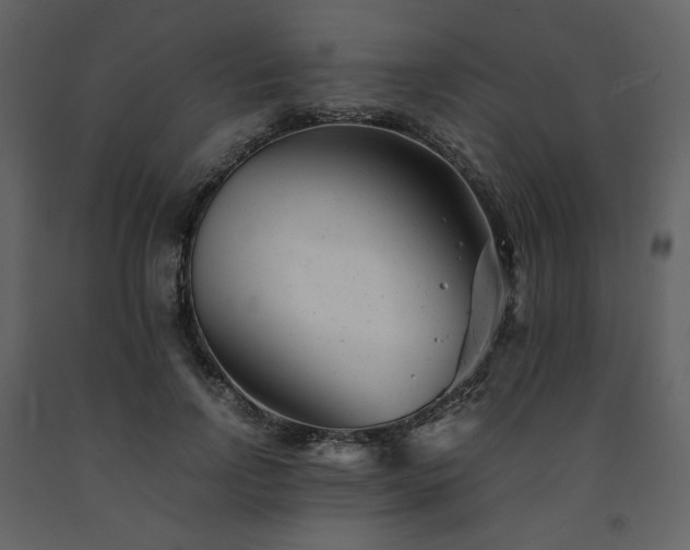 X0000091660742200708231305