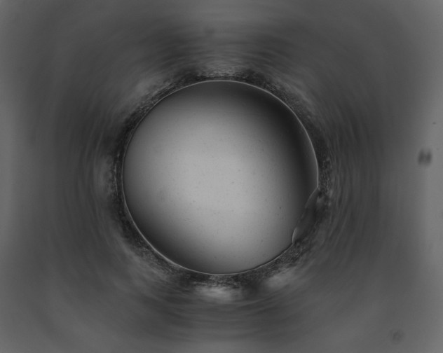 X0000091660743200708231305