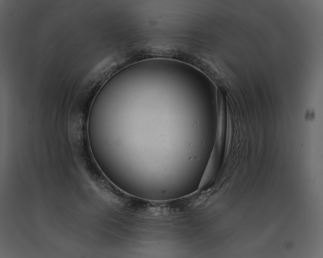 X0000091660744200708231305