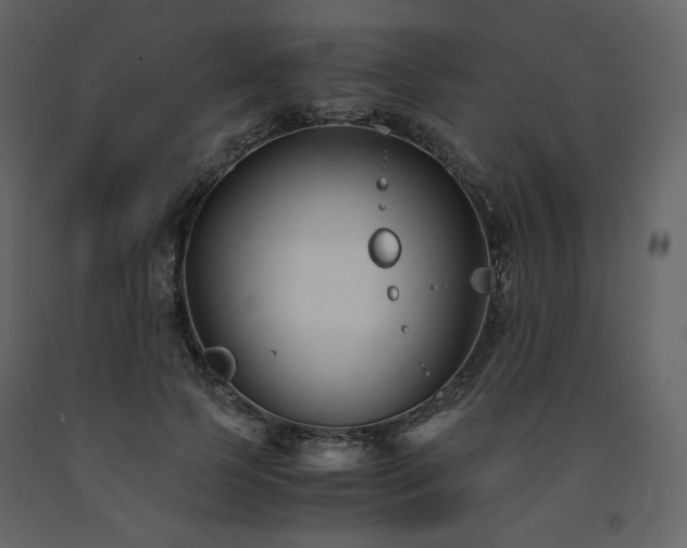 X0000091660745200708231305
