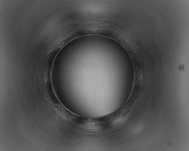 X0000091660746200708231305