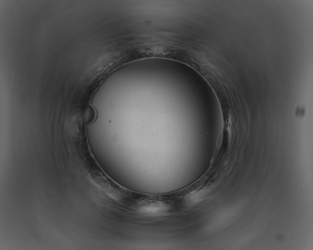 X0000091660747200708231305