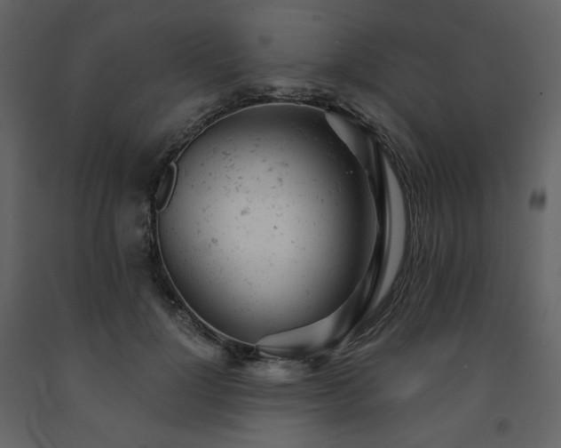 X0000091660748200708231305
