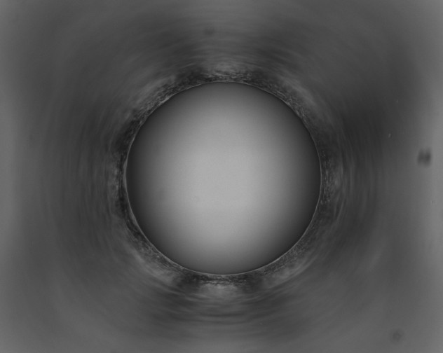 X0000091660749200708231306