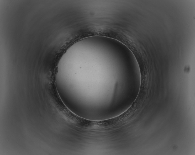 X0000091660750200708231306