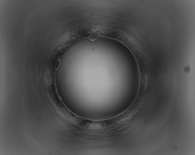 X0000091660751200708231306