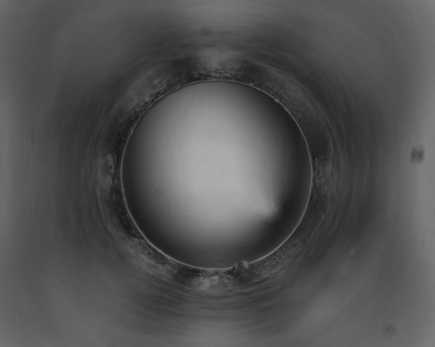 X0000091660752200708231306