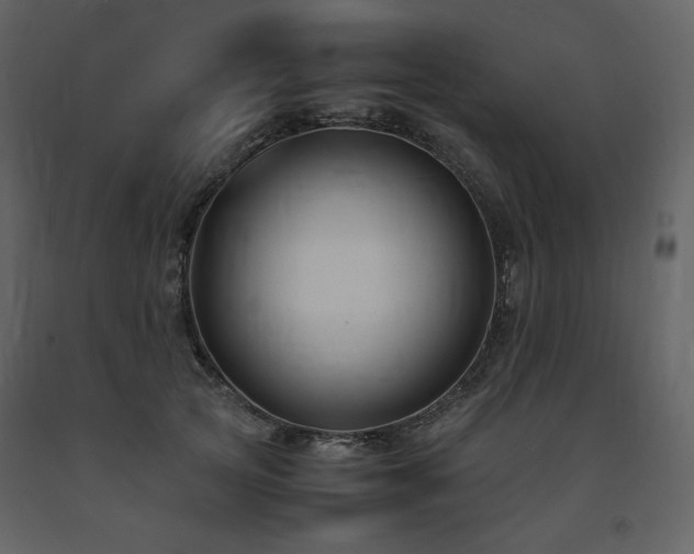 X0000091660753200708231306