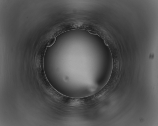 X0000091660754200708231306
