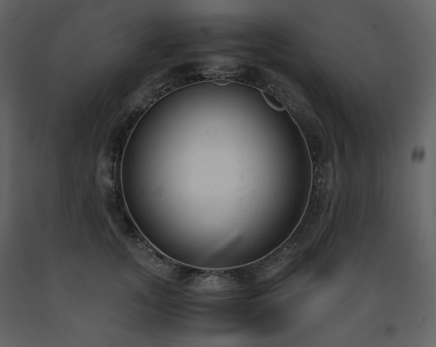 X0000091660755200708231306