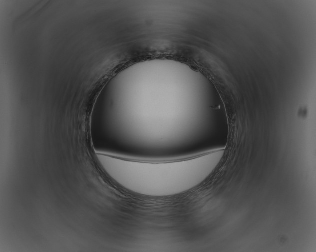 X0000091660756200708231306