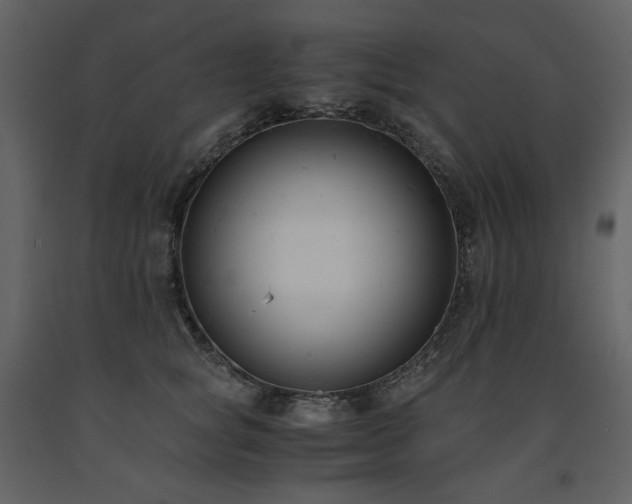 X0000091660757200708231306