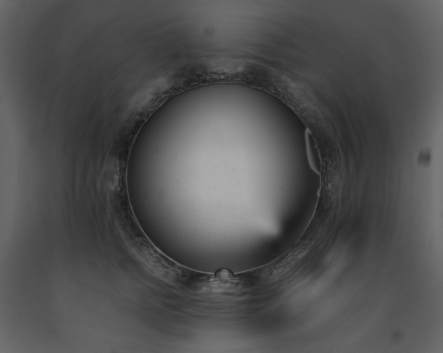 X0000091660758200708231306