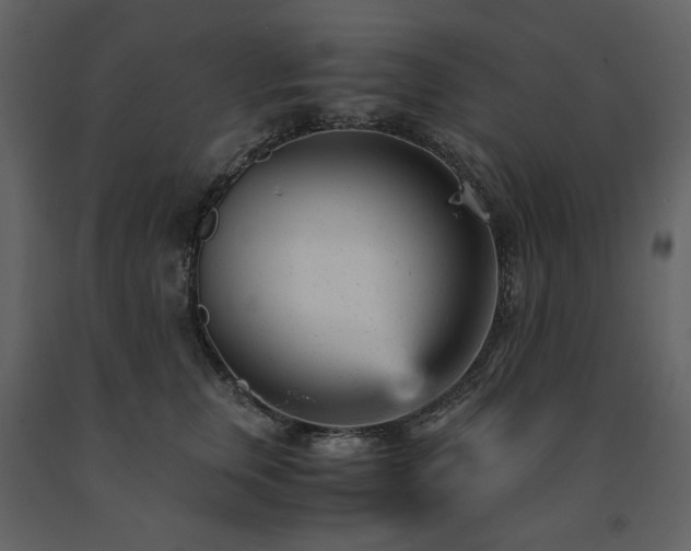 X0000091660759200708231306